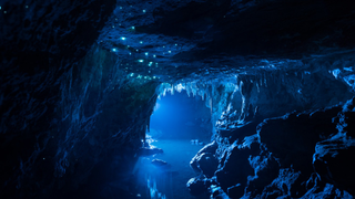 Estas cuevas se iluminan gracias a gusanos carnívoros fosforescentes